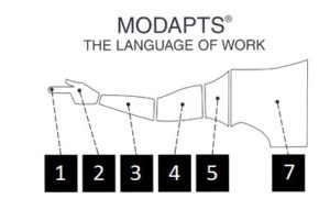 MODAPTS Logo